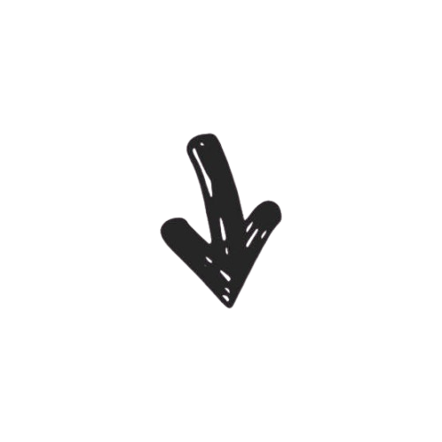 WhatsApp_Image_2025-02-26_at_2.38.34_PM-removebg-preview